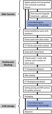 A Review: Gaseous Interventions for Listeria monocytogenes Control in Fresh Apple Cold Storage